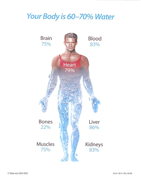 This Is How Much Water Your Body Actually Needs