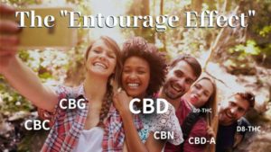 The Entourage Effect of CBD