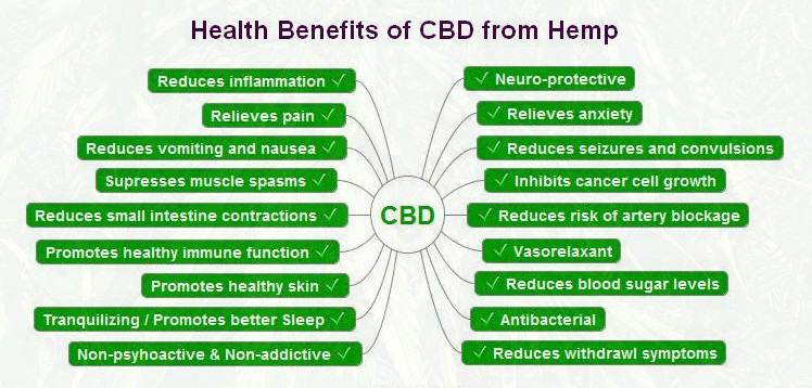 CBD and the endocannabinoid system health benefits