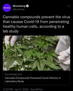 CBD Compounds Help Prevent Infection from Covid