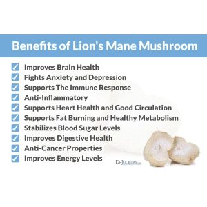Take Lion's Mane Mushroom supplement for these benefits