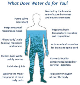 There are many benefits of staying hydrated